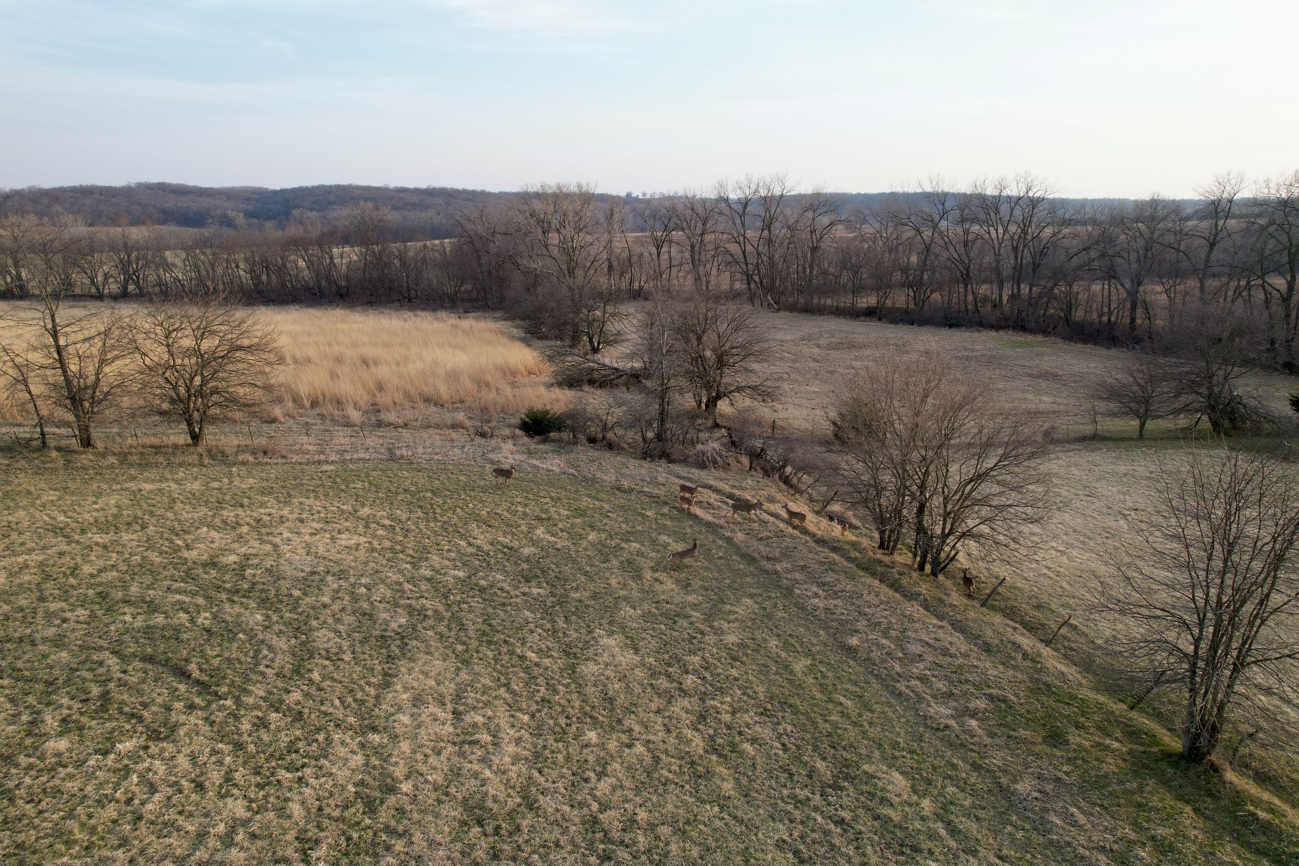 Listing Photo: Photo Mar 25 2026, 6 45 04 PM